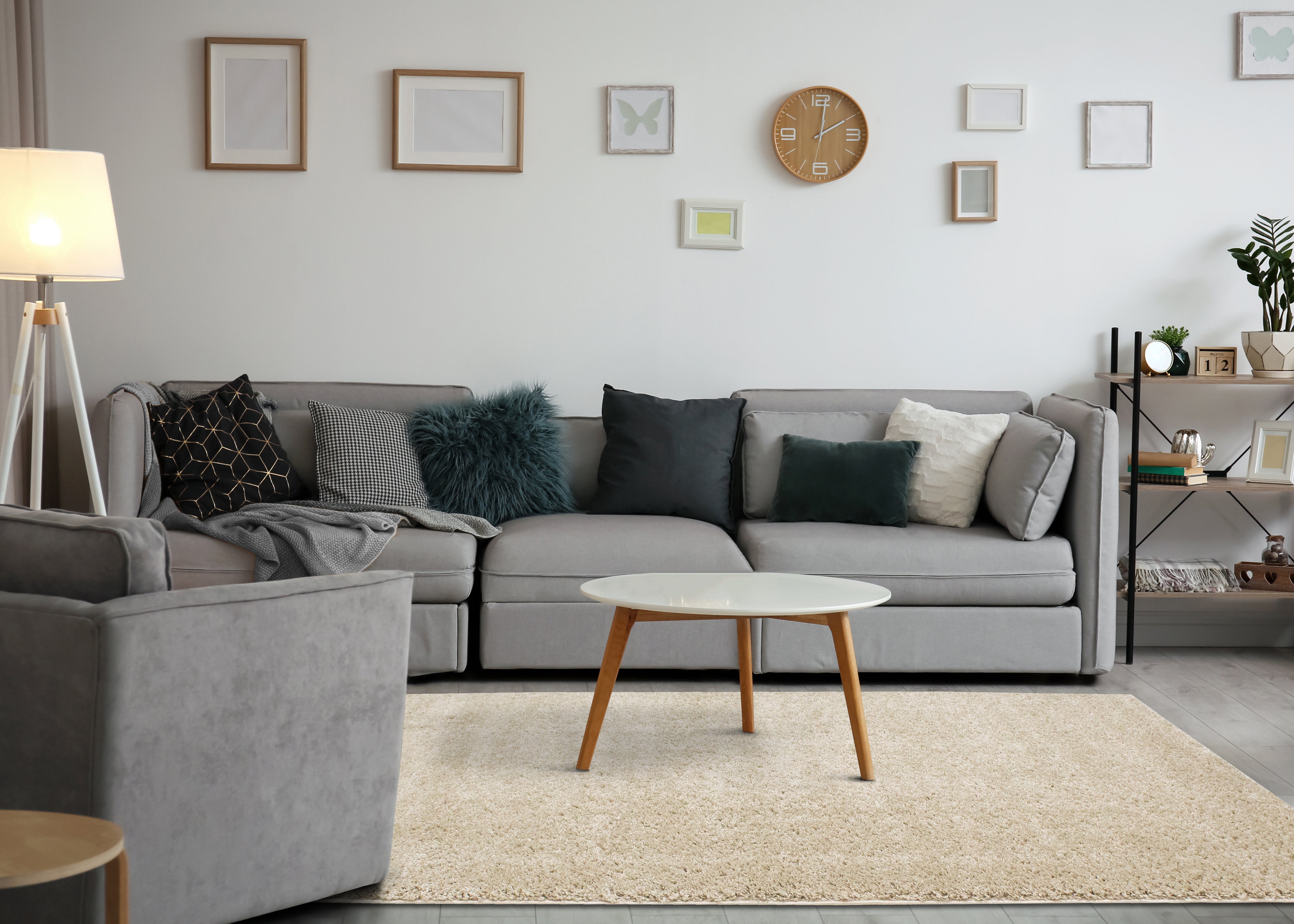 Pascal Beige Comfort Shag Rug