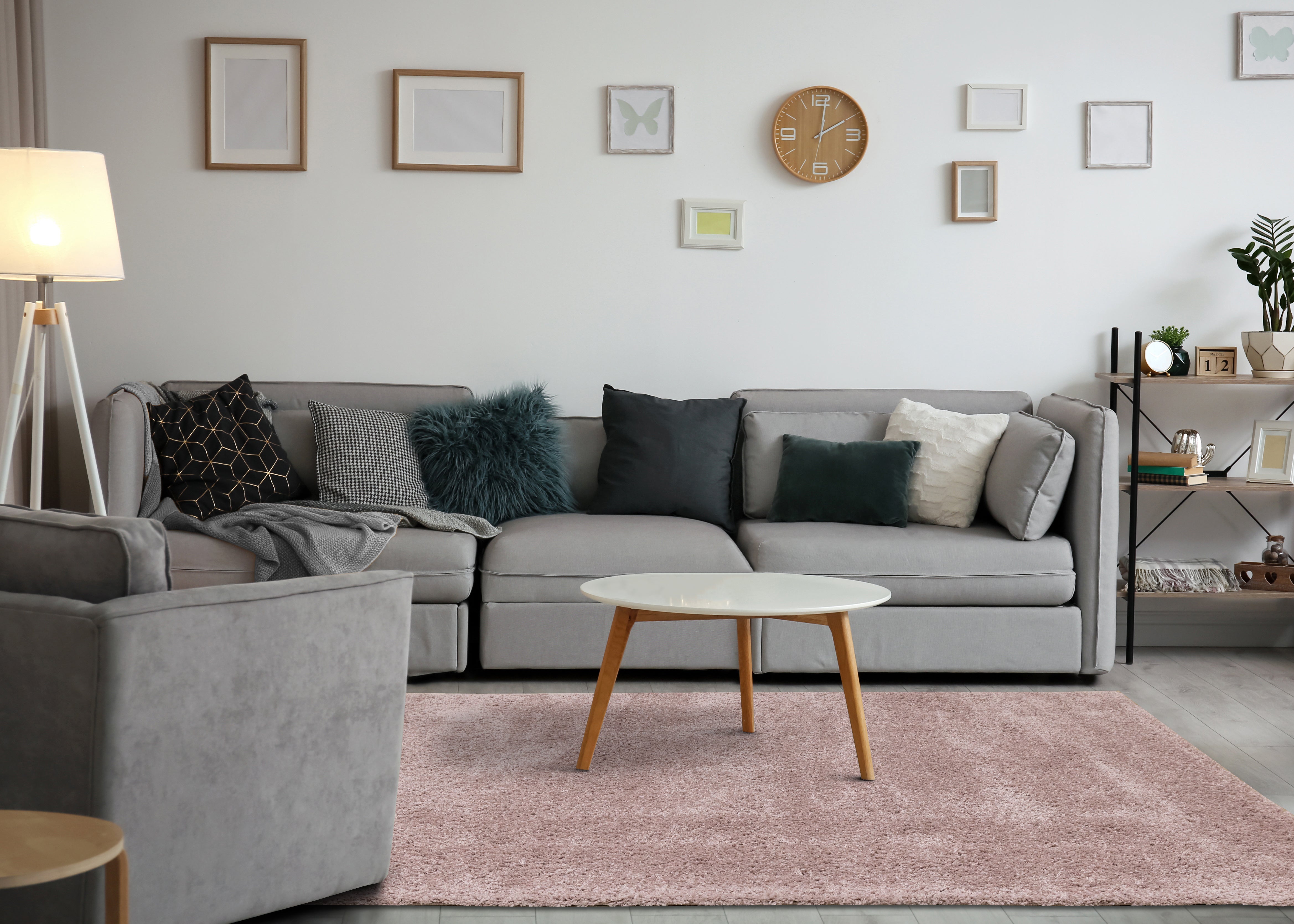Pascal Pink Comfort Shag Rug