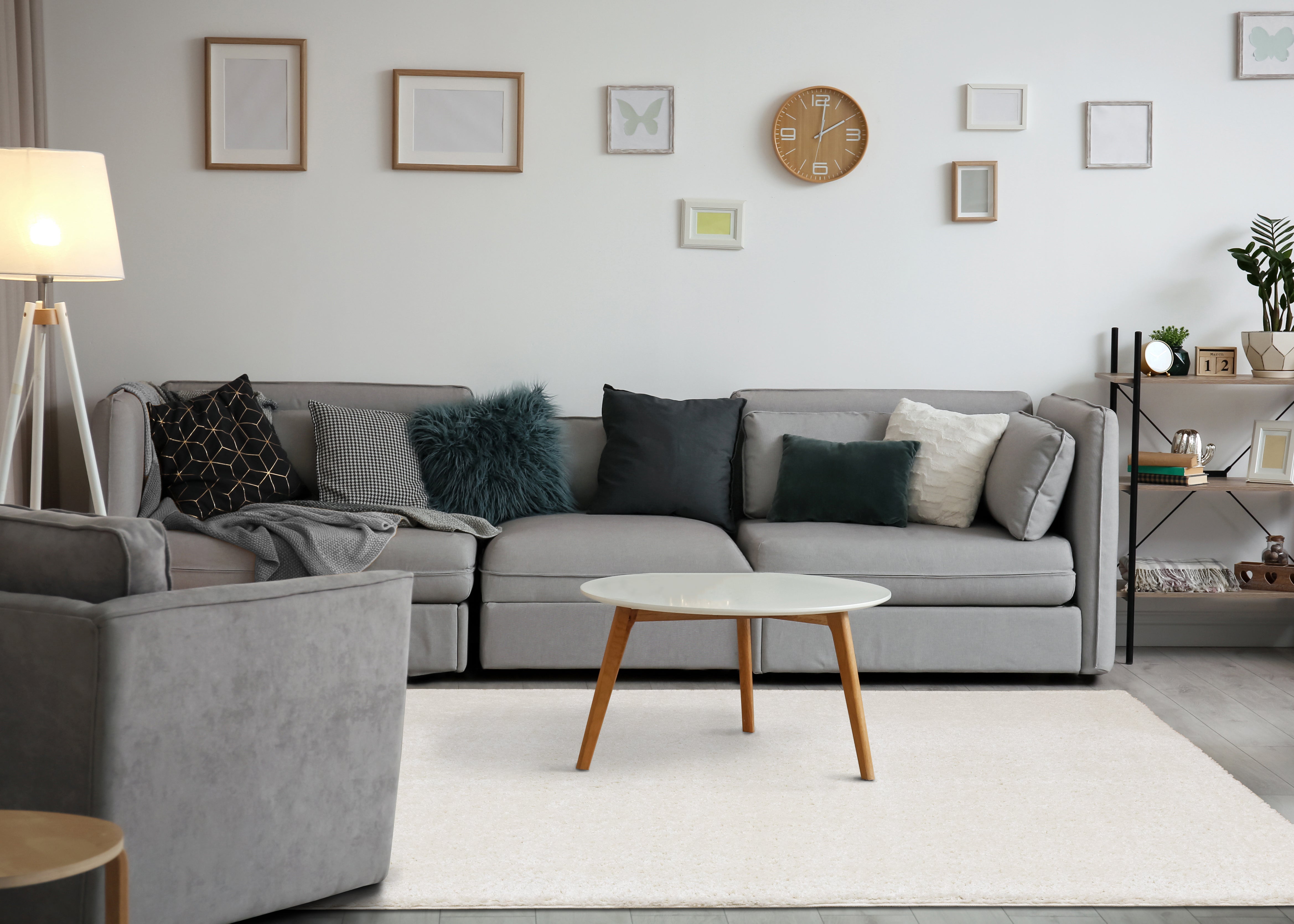 Pascal Cream White Comfort Shag Rug