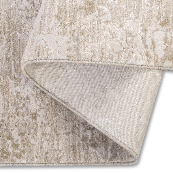 Artistry Soft Indoor Area Rug ARY-59